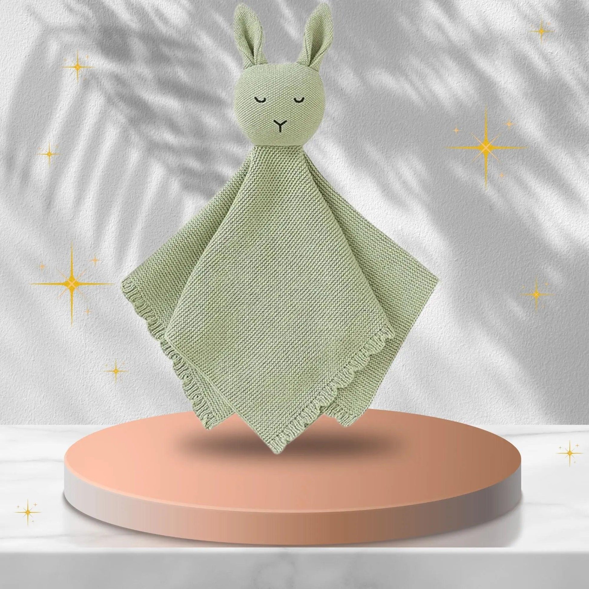 DOUDOU BEBE | SOFTY - Familyfirstbaby