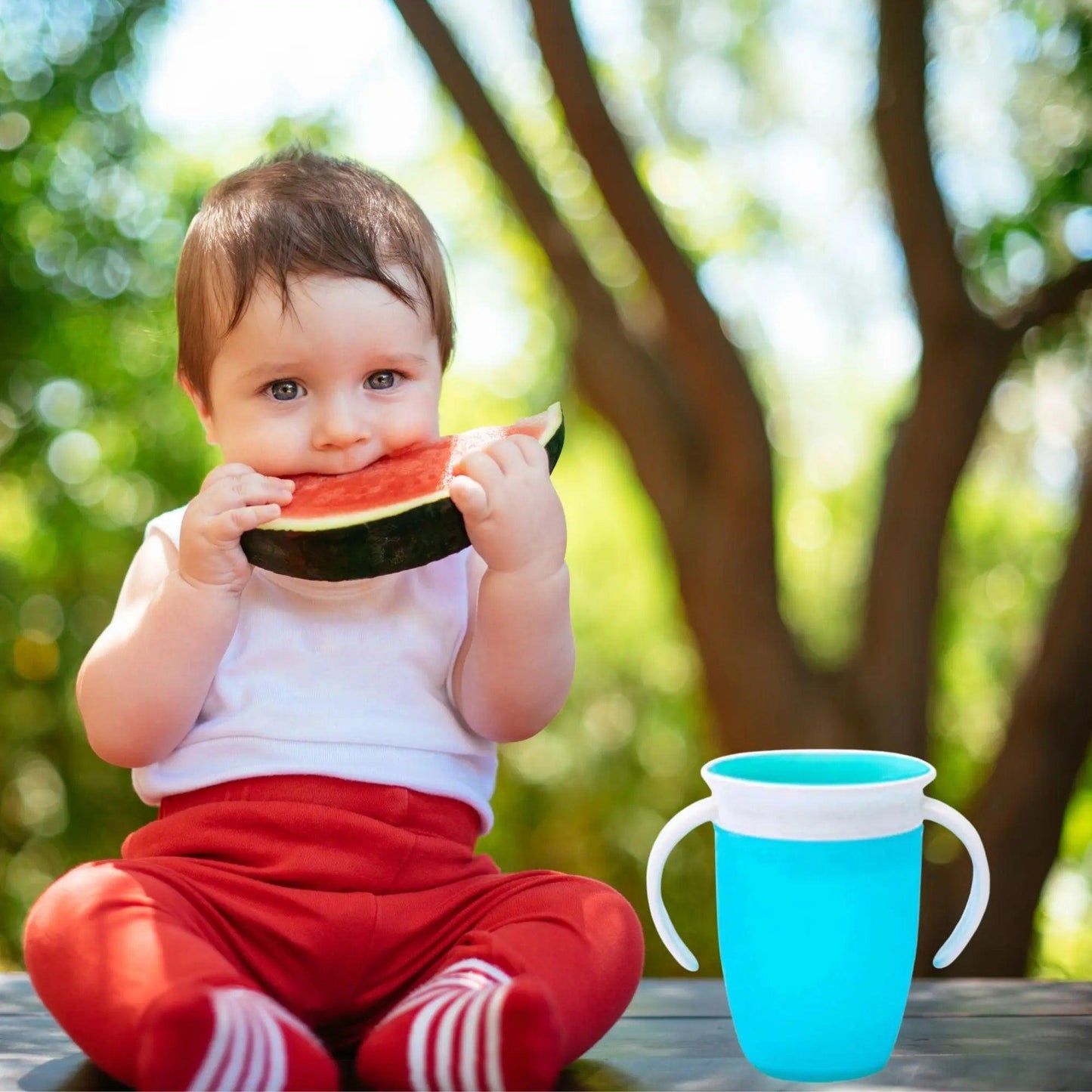 TASSE BEBE | ROTA BABY - Familyfirstbaby