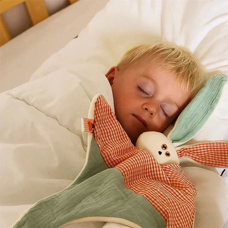 DOUDOU BÉBÉ | SOFTY Jouets et Jeux > Doudous Familyfirstbaby